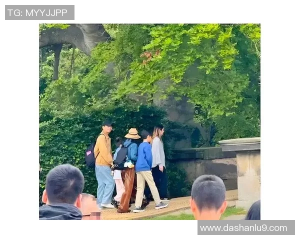 泡澡时选择姚明的理由与体验分享让你感受巨人的温暖与放松