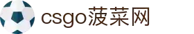 csgo菠菜网(中国区)有限公司官网